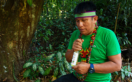 Participant experiences of icaros during an ayahuasca ceremony at Takiwasi