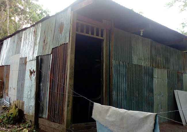 Casas del Corazon - Takiwasi