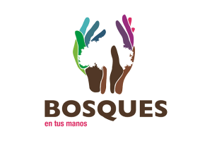 Logo Proyectos Bosques